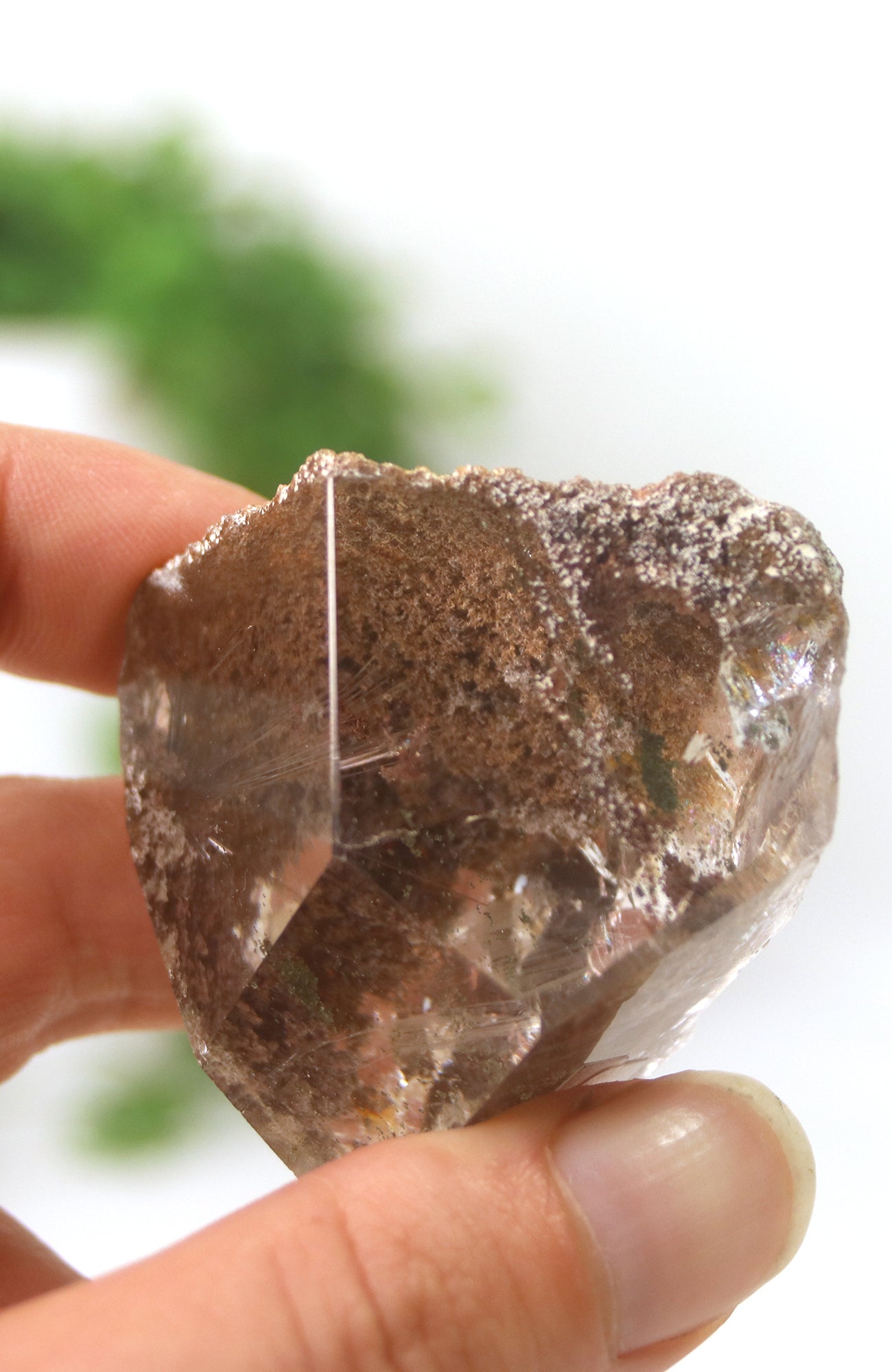 Lodalite Quartz Freeform Generator